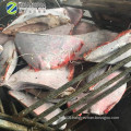 Import Export Seafood Fish Frozen Red Moonfish  for Sale